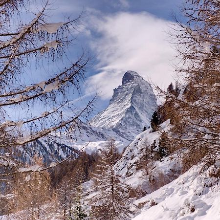 Chalet Zen Zermatt, 100M From Ski Lift And Piste エクステリア 写真